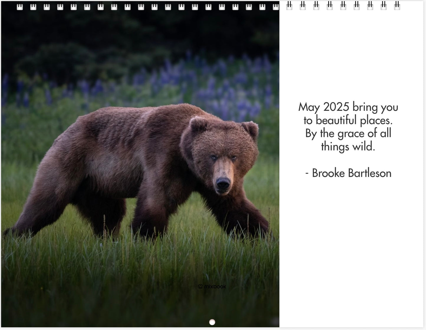 2025 Little Bear Wildlife Calendar