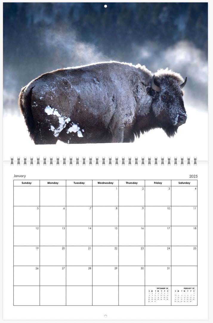 2025 Little Bear Wildlife Calendar