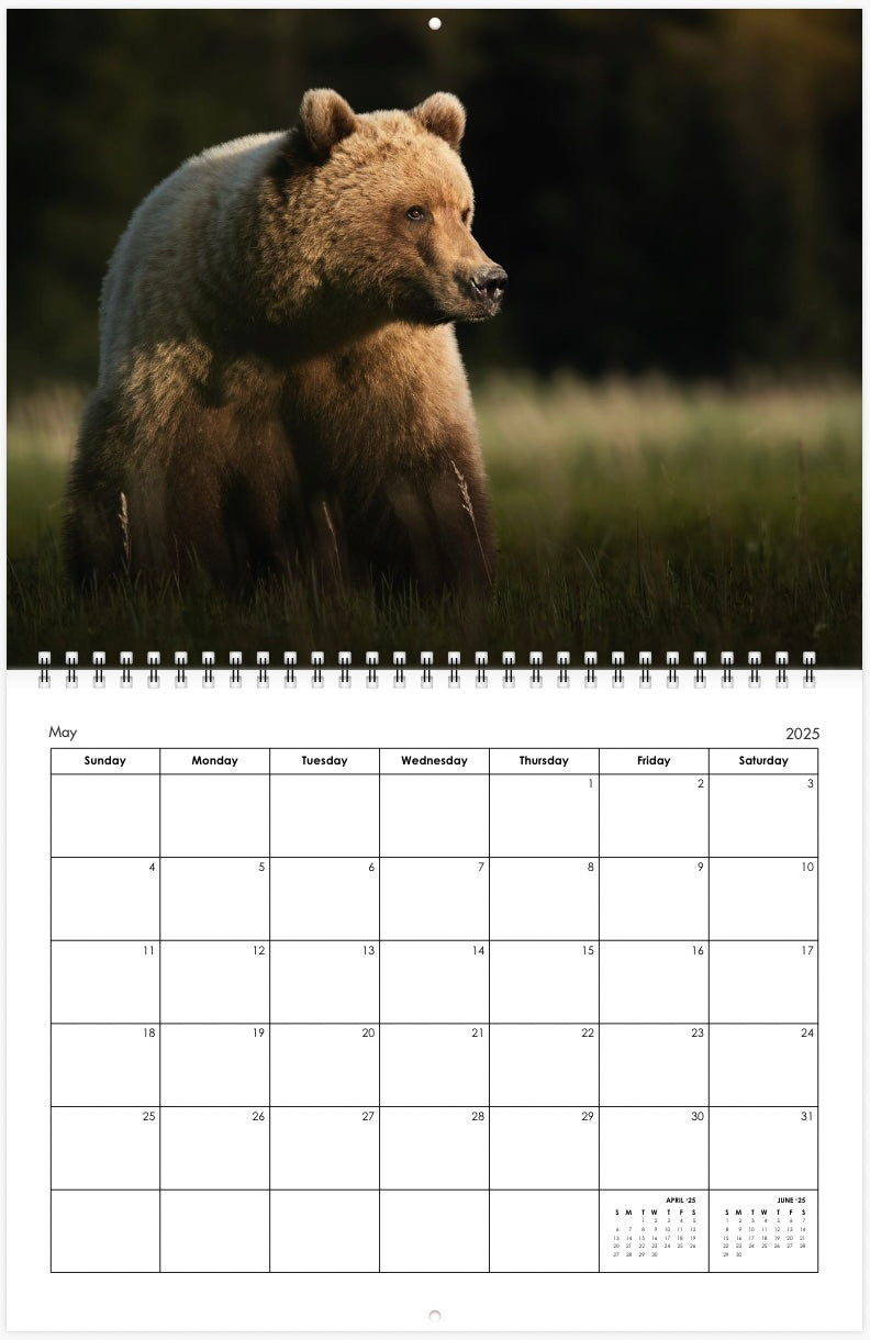 2025 Little Bear Wildlife Calendar