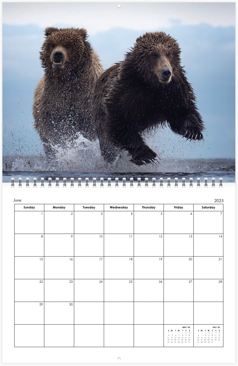 2025 Little Bear Wildlife Calendar