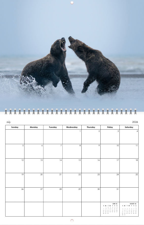 2025-2026 Chicago Bears Wallpaper Schedule