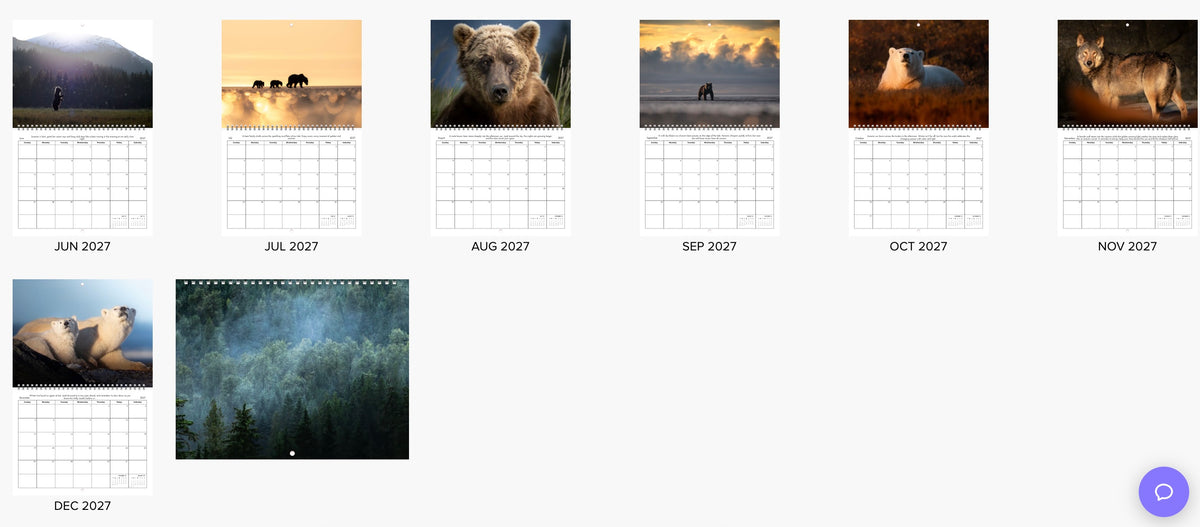 2027 Little Bear Wildlife Calendar