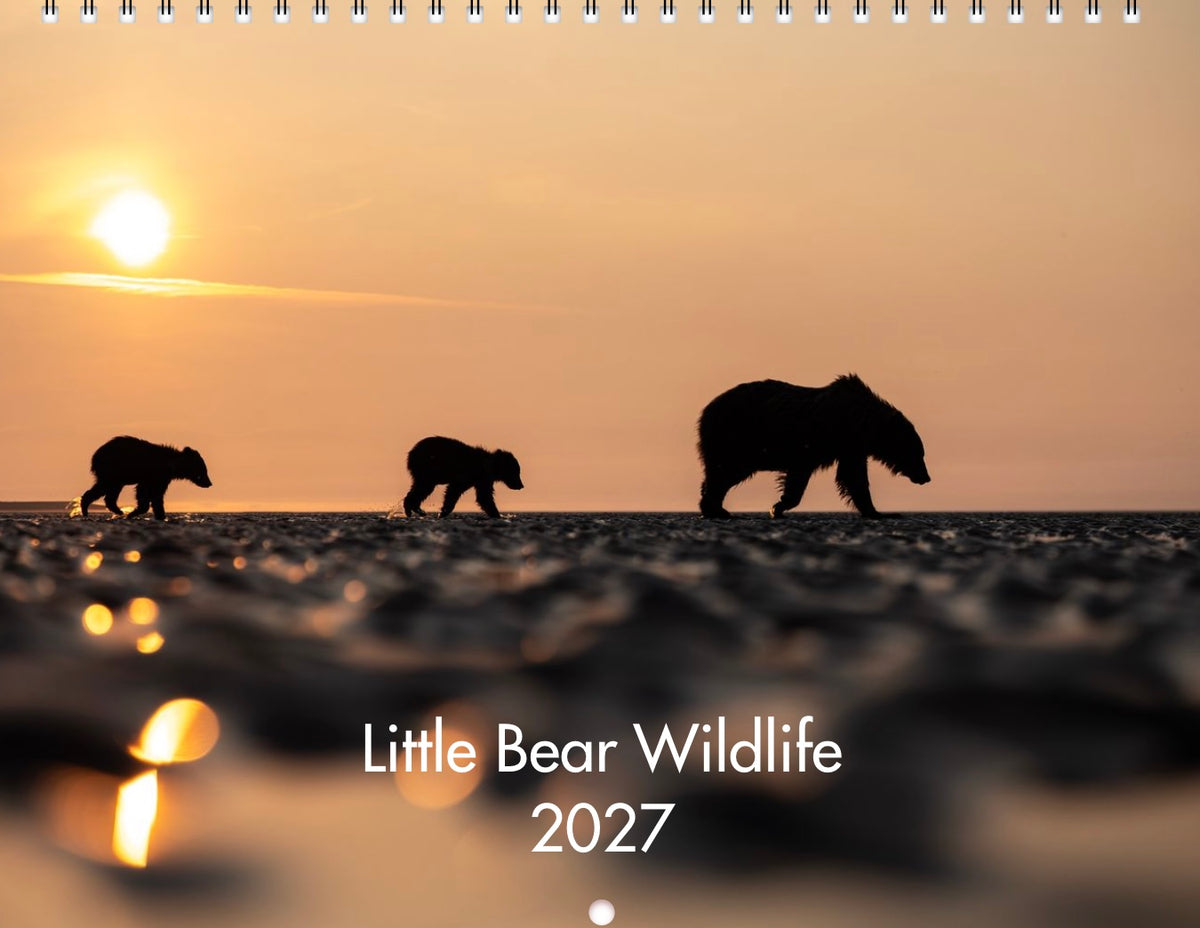 2027 Little Bear Wildlife Calendar